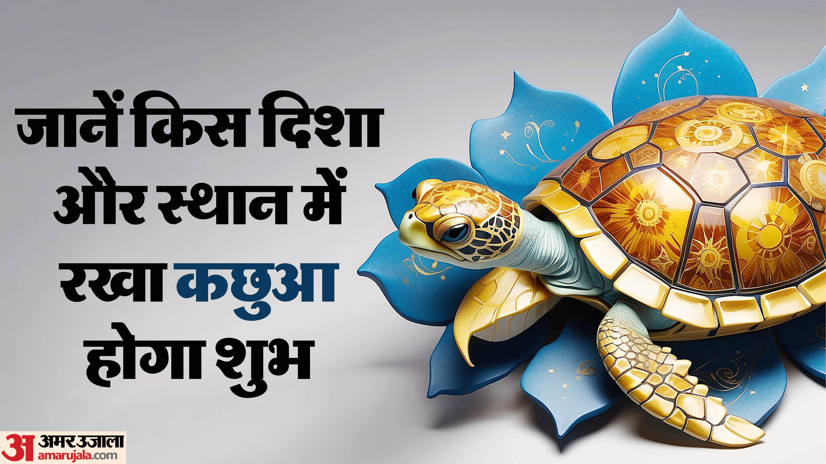 Feng Shui Tips Keeping the tortoise in the right direction and place brings happiness and wealth to the house