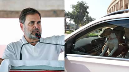Renuka Chowdhary bringing a dog to Parliament Rahul Gandhi says what is the fault of the poor dogs