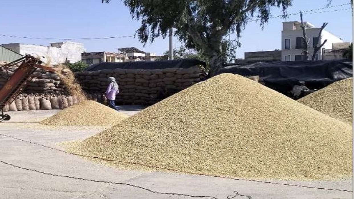 Haryana firm Fresh Agro Foods' bank guarantee seized in Bareilly