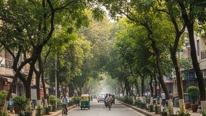 Forest Department will launch a campaign to plant around 3.5 lakh saplings in South Delhi