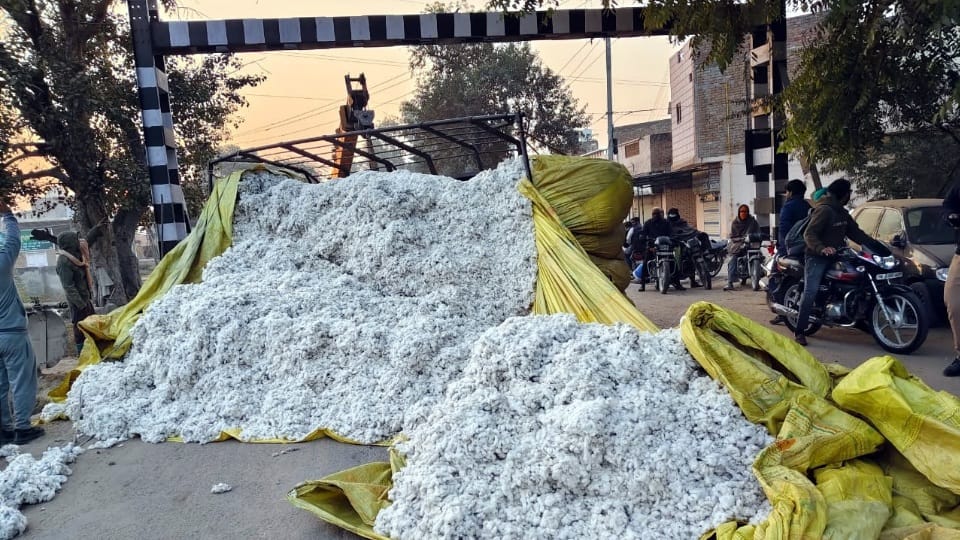 trolley full of cotton overturned due to dilapidated road and bad track in Abohar