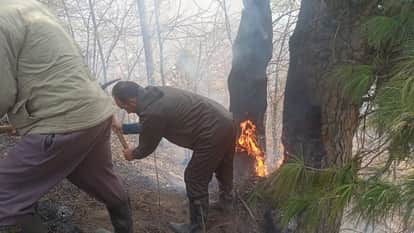 A massive forest fire in Bagtor, Gurez, reduced the green belt to ashes