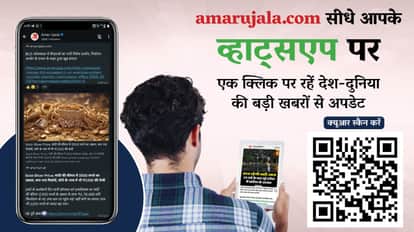 Amar Ujala WhatsApp Channel National Internation India World Business Local News updates spot