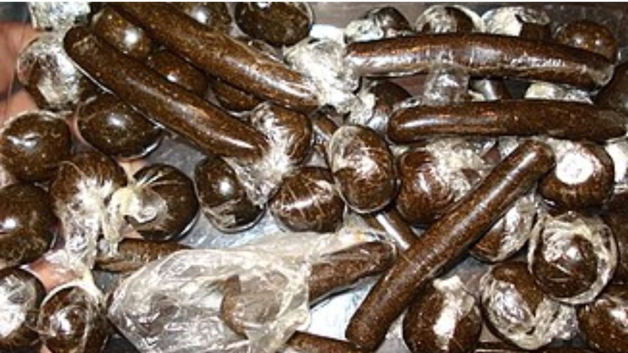 SIU raids Dharada, arrests four youths with 356 grams of hashish