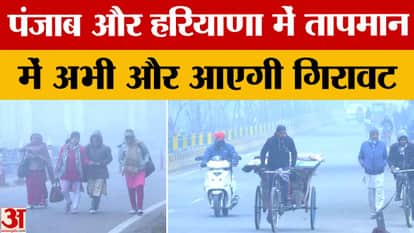 Weather News: Cold increases in Punjab-Haryana, temperature will decrease further in December