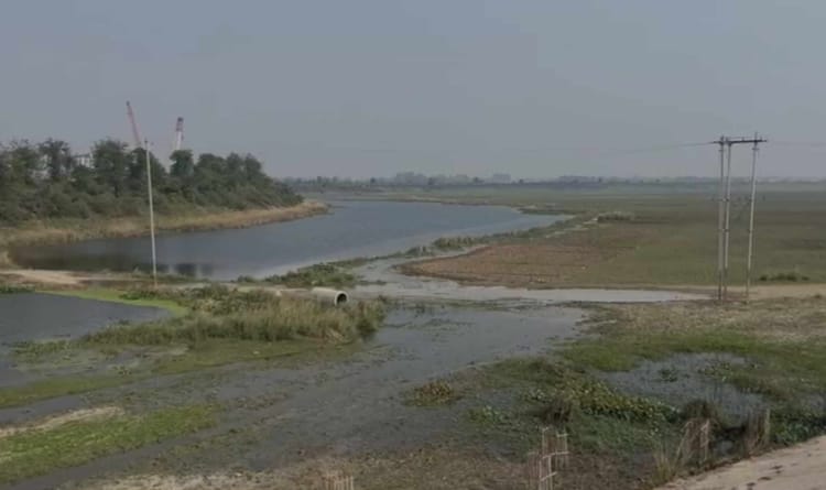 Bihar News: मोकामा टाल में फसलों पर दोहरी मार, वेस्टेज वाटर से किसान बेहाल; मामला हाईकोर्ट की चौखट पर