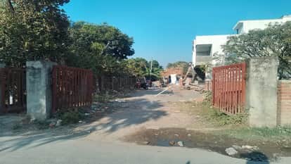 The concrete jungle is swallowing up the mango orchards in the Judge Farm area