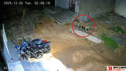 Leopard movement in populated areas