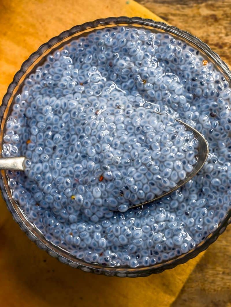 सब्जा सीड्स