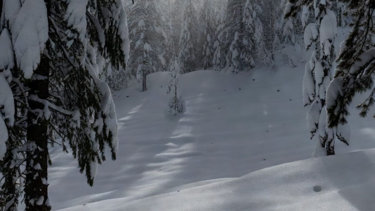 Himachal Weather Update Hindi Rain and snowfall forecast on December 5 and 7
