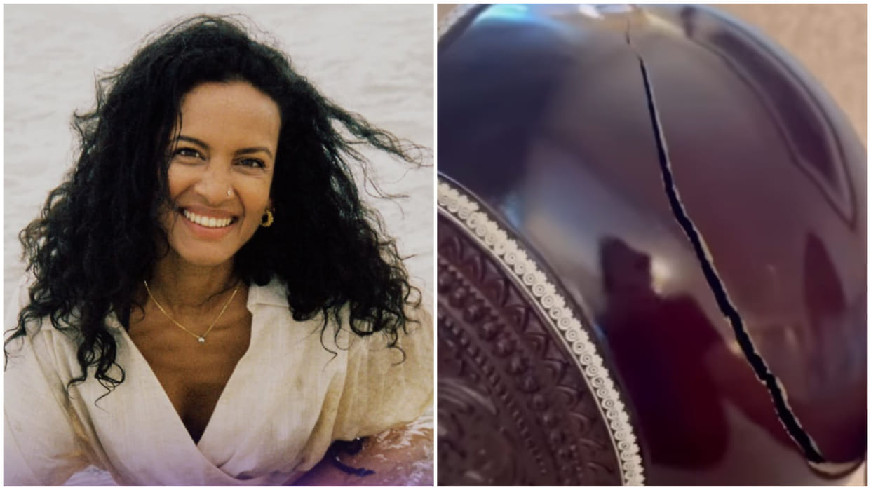 Sitarist Anoushka Shankar sitar broke on Air India recent flight