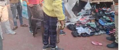 Python Spotted at Taj Mahal West Gate Tourists Panic