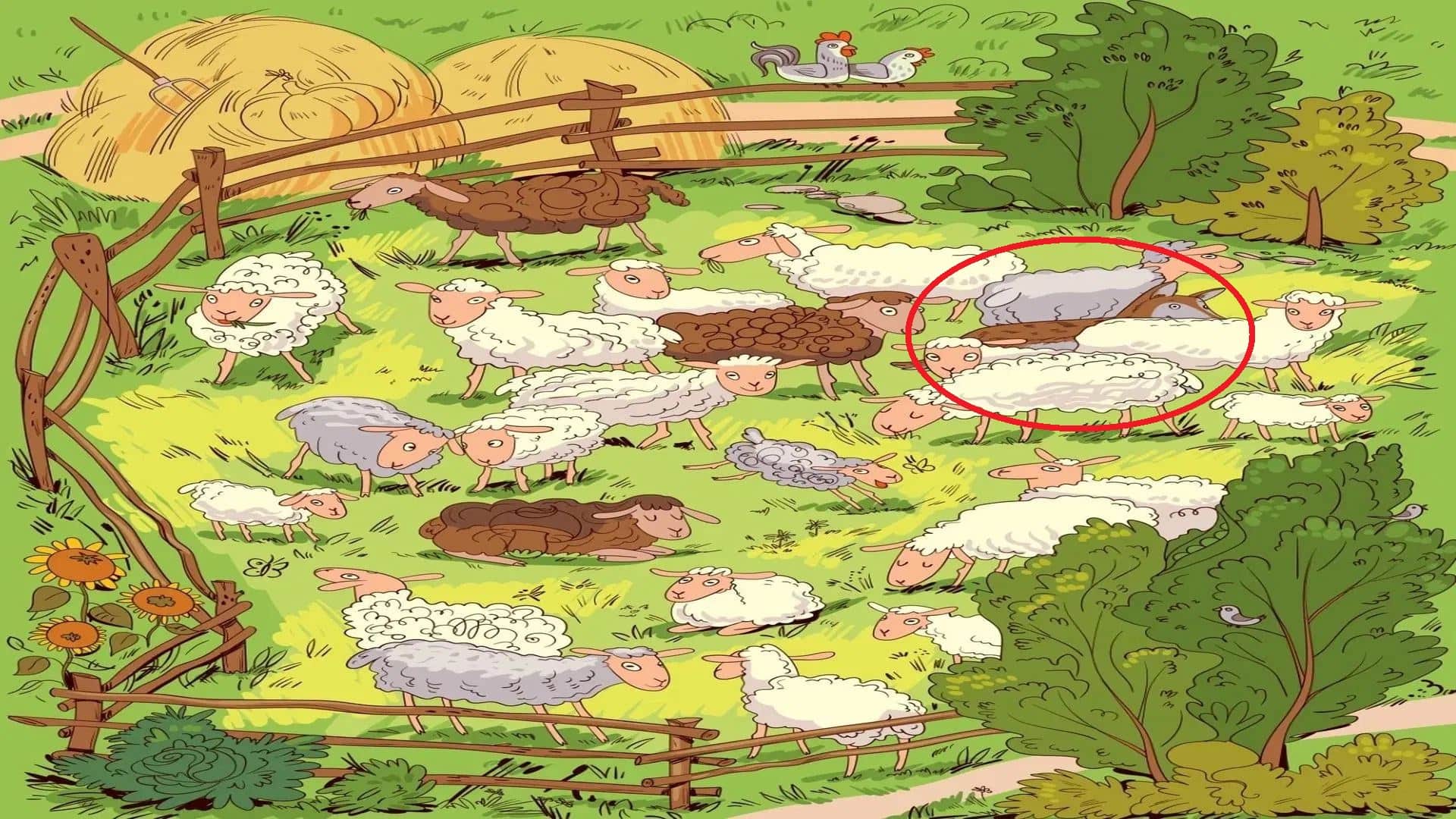 brain Teaser Game Can You Find Hidden Wolf in 15 Seconds Look At This Optical Illusion Image