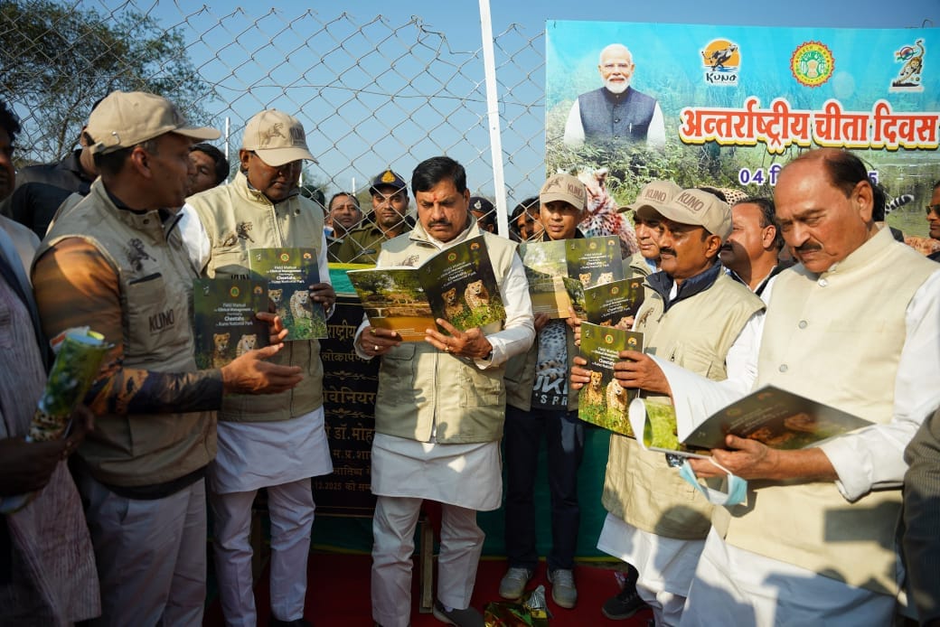 International Cheetah Day: CM Mohan Yadav Releases Veera and her two cubs at Kuno National Park MP