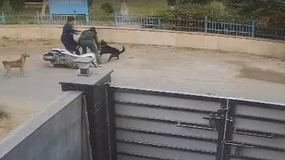 A pet dog bites a girl riding a scooter in Hisar