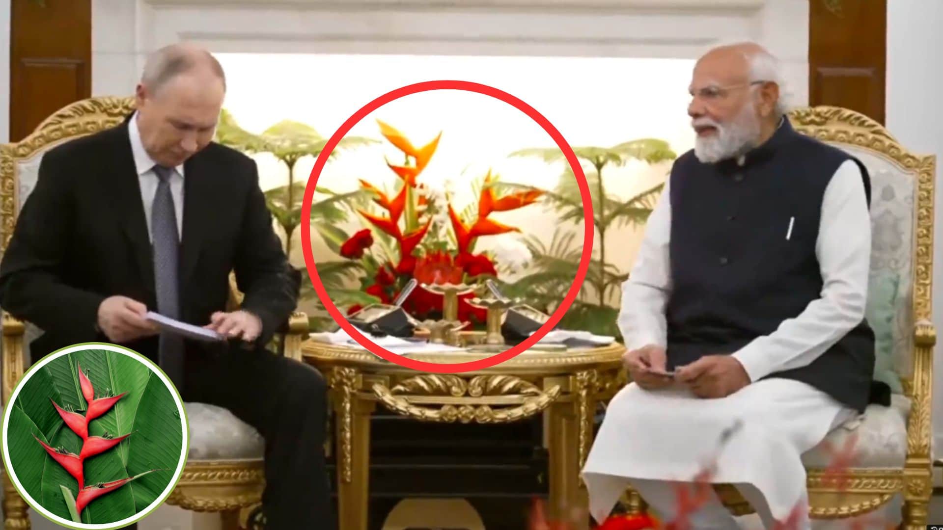 special background was seen in the meeting between PM Modi and Putin did you notice this red colored plant