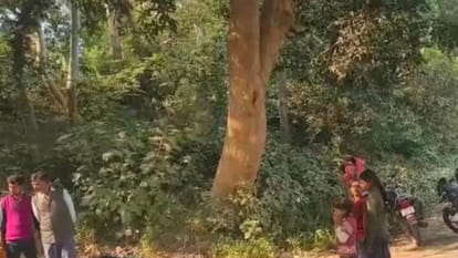 body of private company employee found wrapped in black foil in Sitapur police are investigating