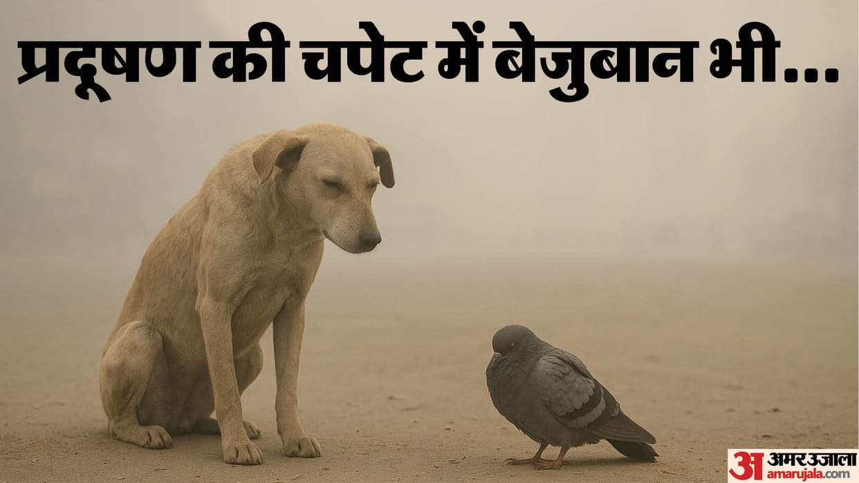 toxic air in Delhi-NCR poses a threat to voiceless animals and birds