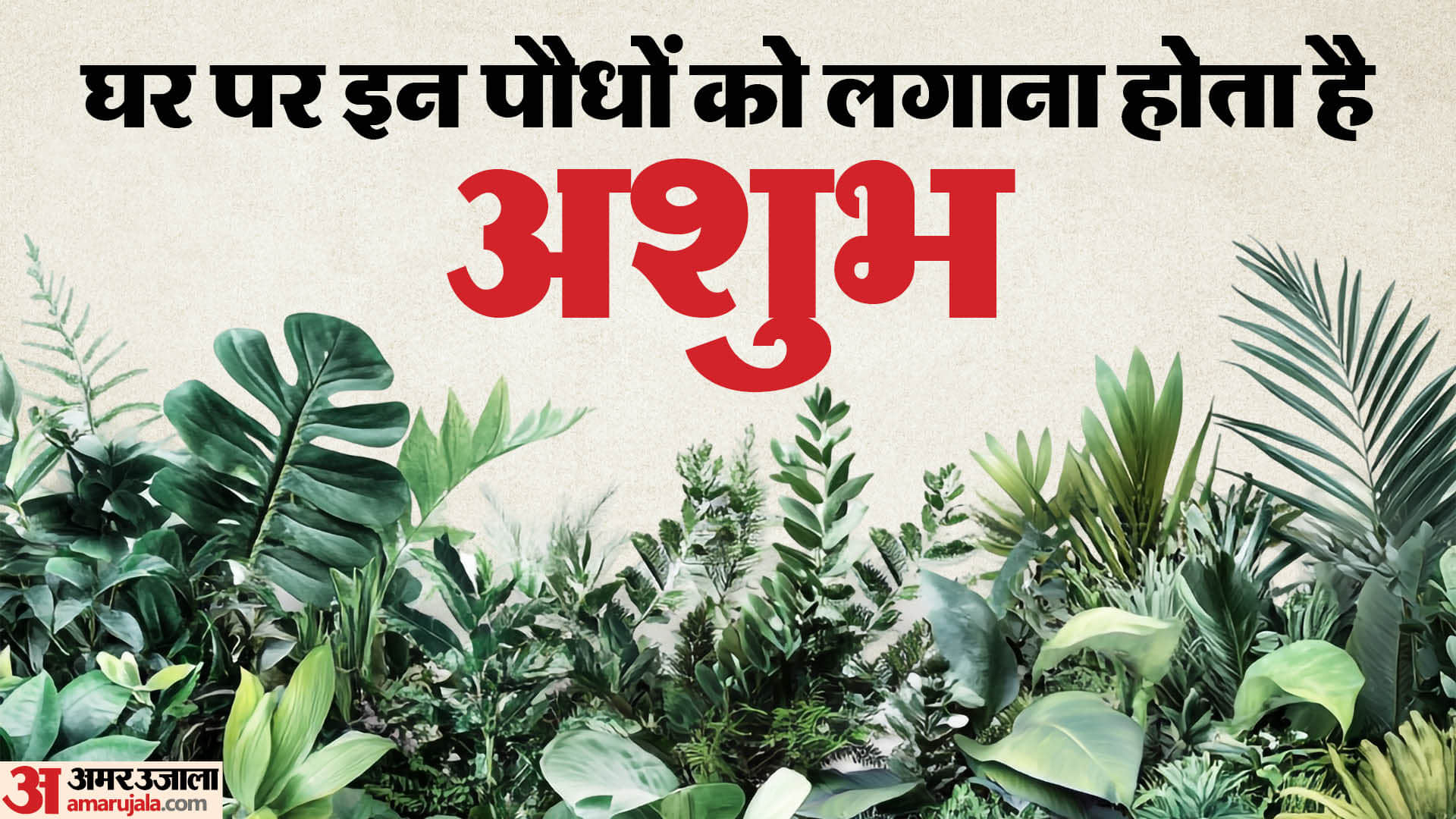 Vastu tips in unlucky plants for home attract negativity stress and bad luck