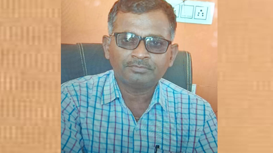 Kanpur: Five killed in road accidents