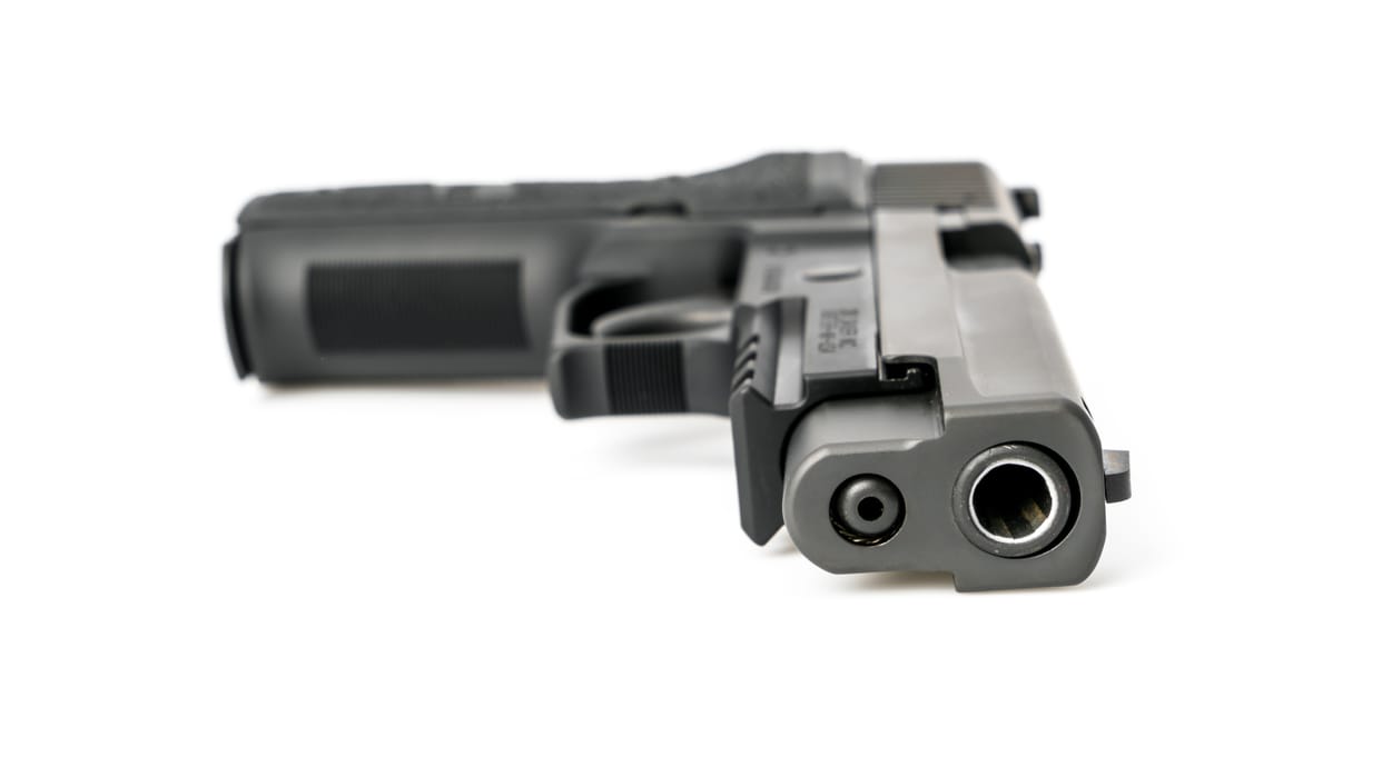 Visiting Harvard instructor leaves US after BB-gun incident DHS labeled antisemitic