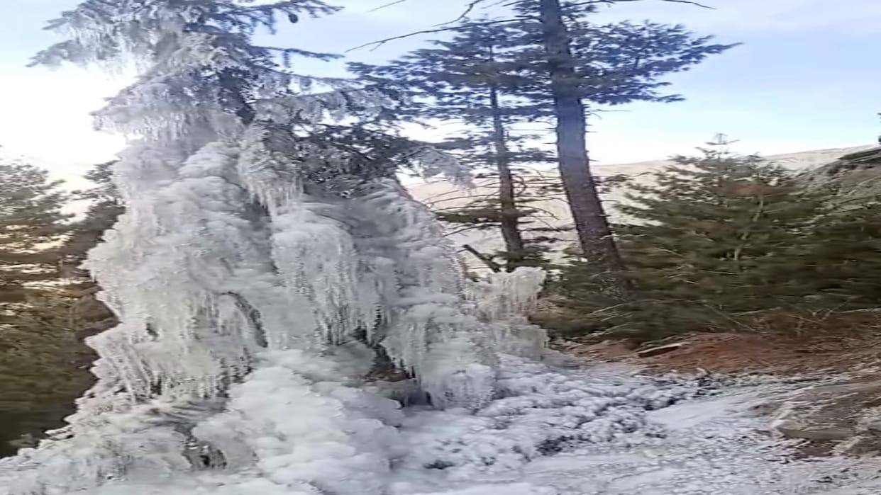 Himachal Weather: 15 places recorded a minimum temperature of less than 5 degrees Celsius; find out how the we