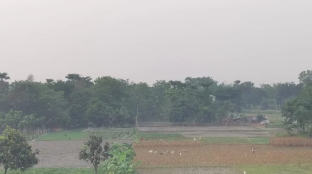 Bihar Weather: Cold in several districts including Patna: Minimum temperature reaches eight degrees Fog