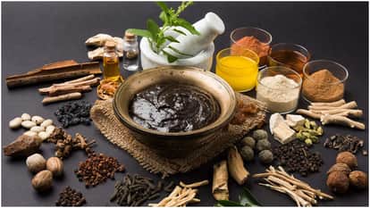 Kitchen Tips How to Make Desi Chyawanprash at Home Naturally Recipe Step by Step Process