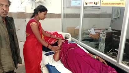 An elderly couple was attacked by a swarm of bees