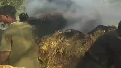 Six acres of paddy crop were burnt to ashes in Dhorkatta, Kanker
