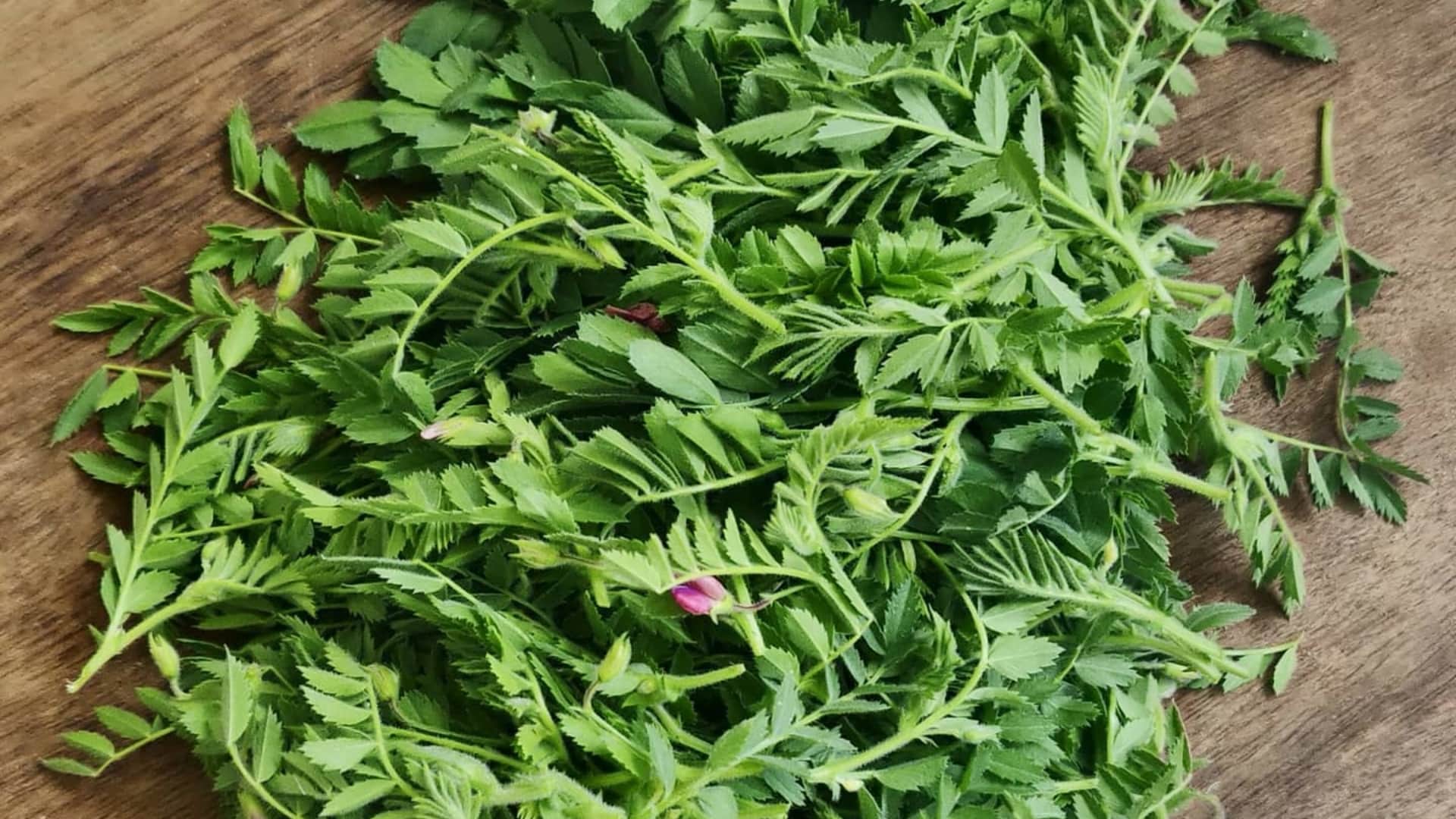 Kitchen Tips How to Prepare Chana Saag Recipe At Home Step by Step Process