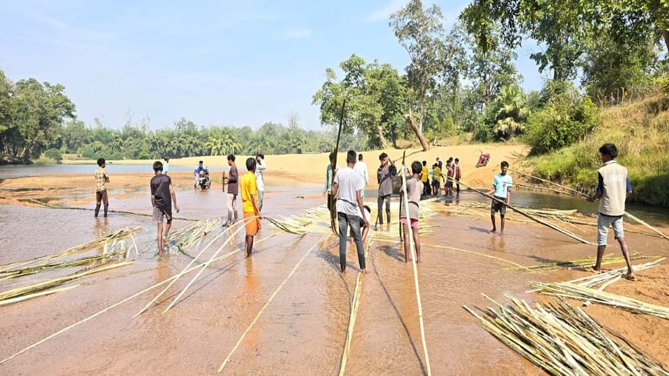 Paddy sales in Markanar village are in jeopardy due to the lack of a bridge over the river in Kanker