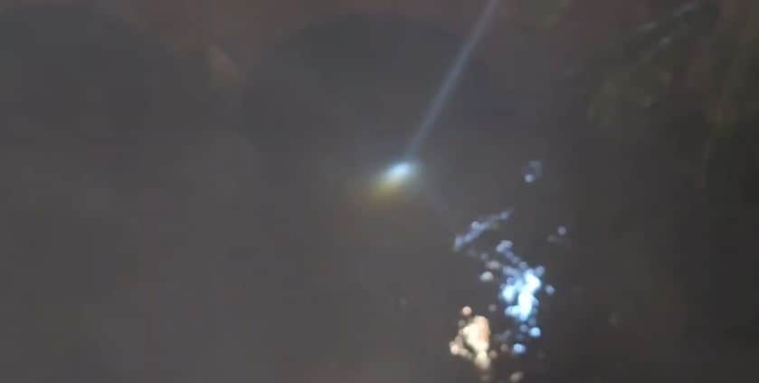 Celebration Turns into Tragedy: Three Brothers Die After Bike Falls into Canal Near Engagement Venue