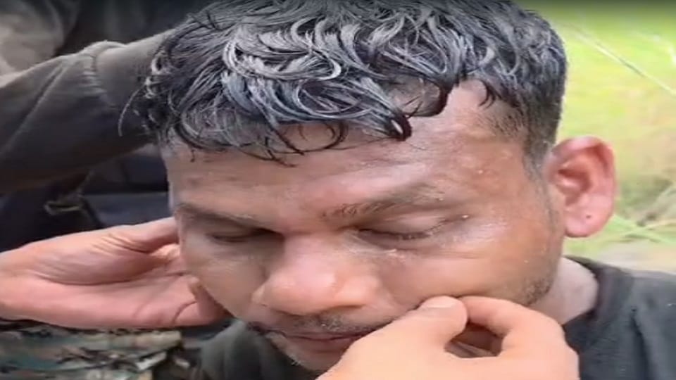During a search operation soldiers were attacked by bees several soldiers were injured and admitted to the hos