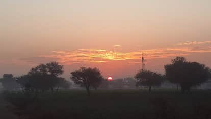 Weather news Cold wave in Haryana