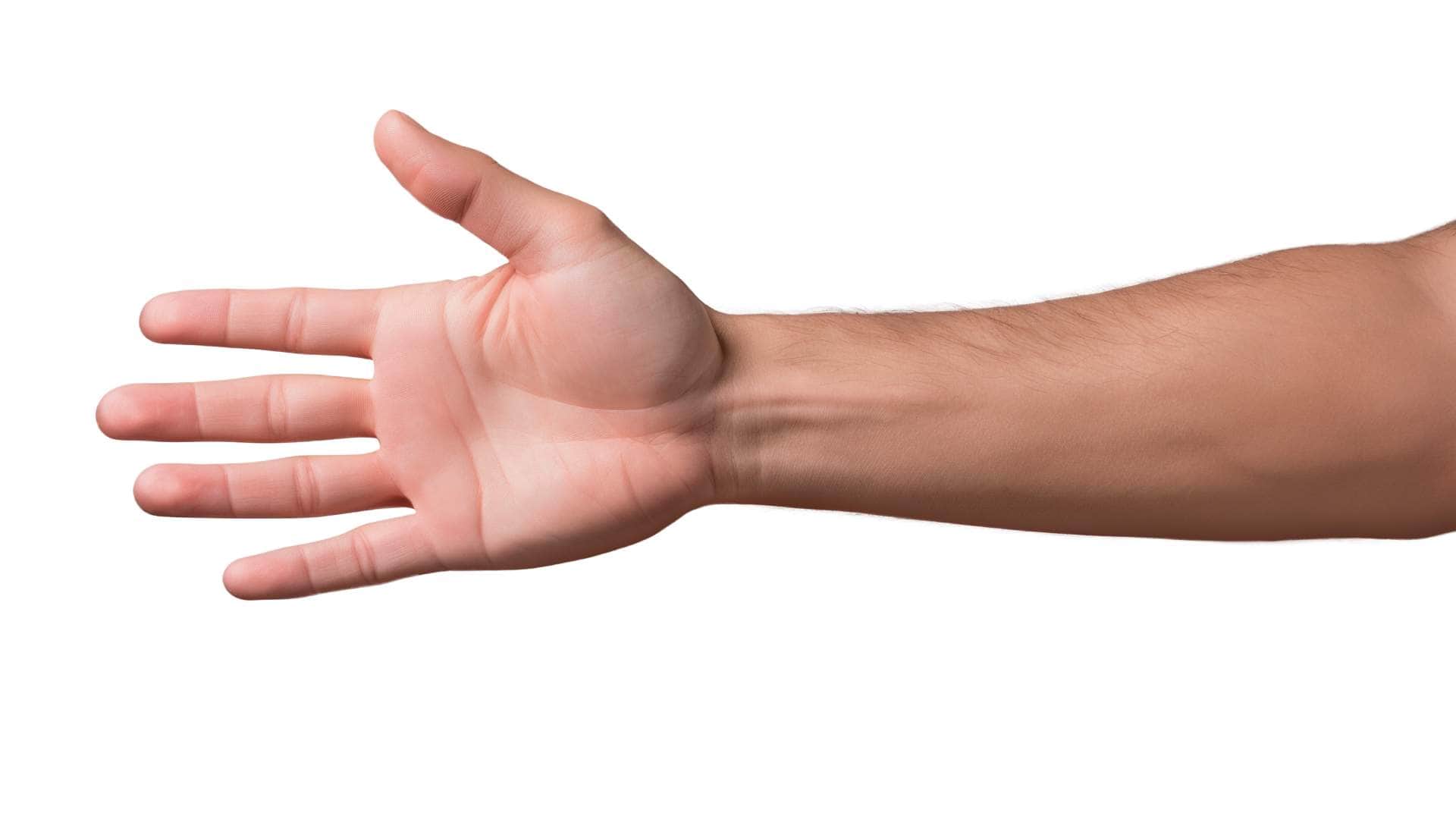 Palmistry know your future and personality people with such palms find great success in life