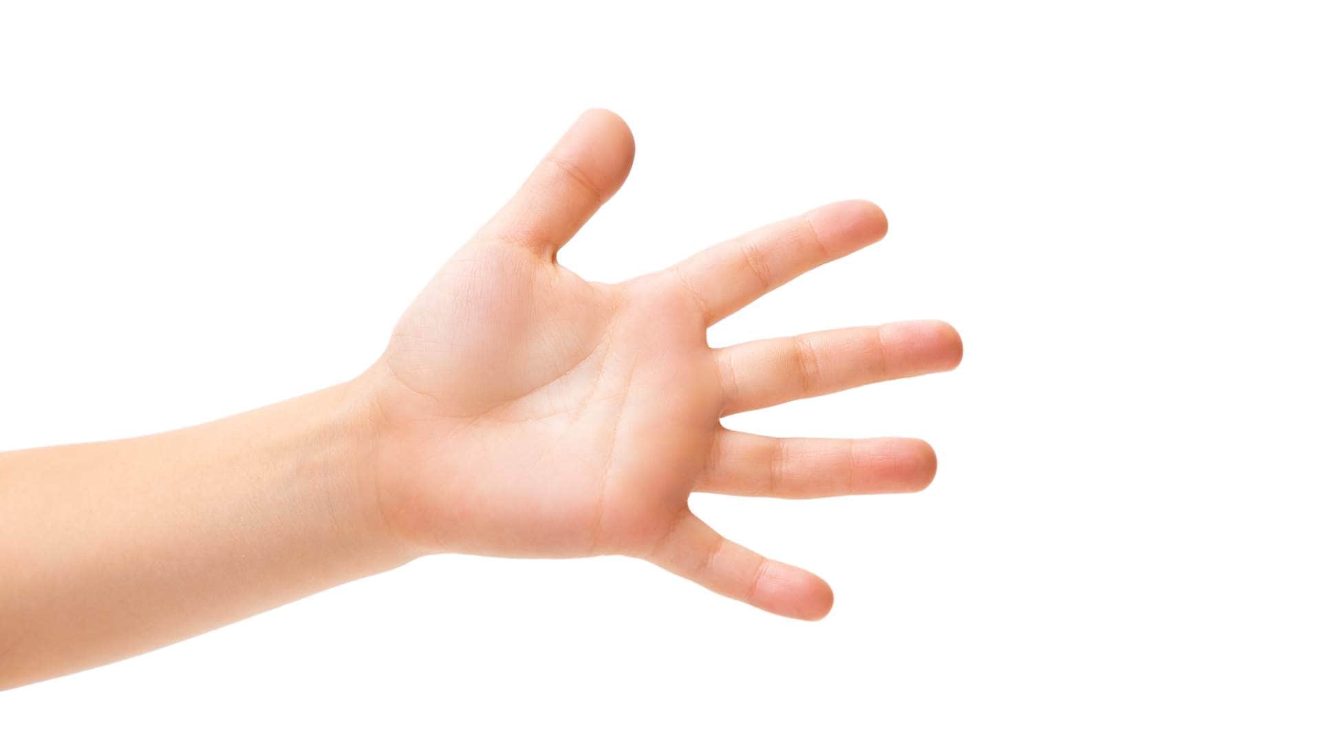 Palmistry know your future and personality people with such palms find great success in life