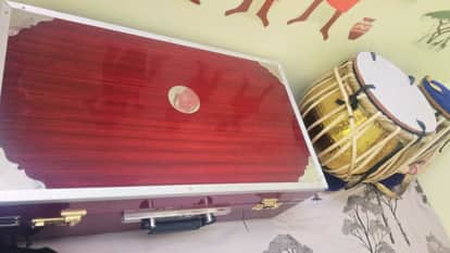 Pandit Chhannulal Mishra musical instruments kept at Maa Vindhyavasini University inspiring young people