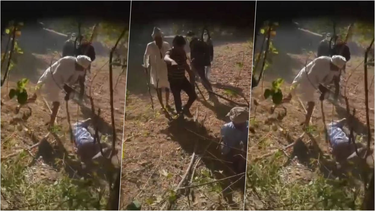 Alwar News: Middle-aged man brutally beaten over tree-cutting dispute, video goes viral; 2 detained by police