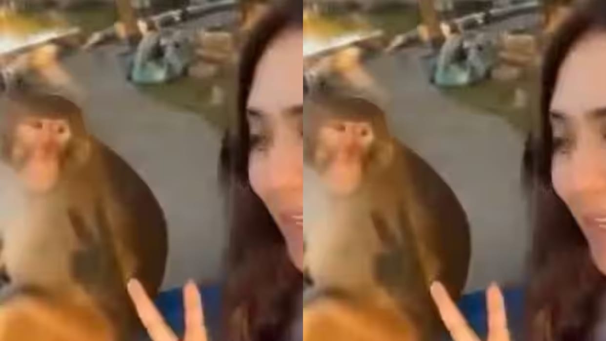 Girl taking selfie with monkey suddenly attacked funny moment creates panic video goes viral