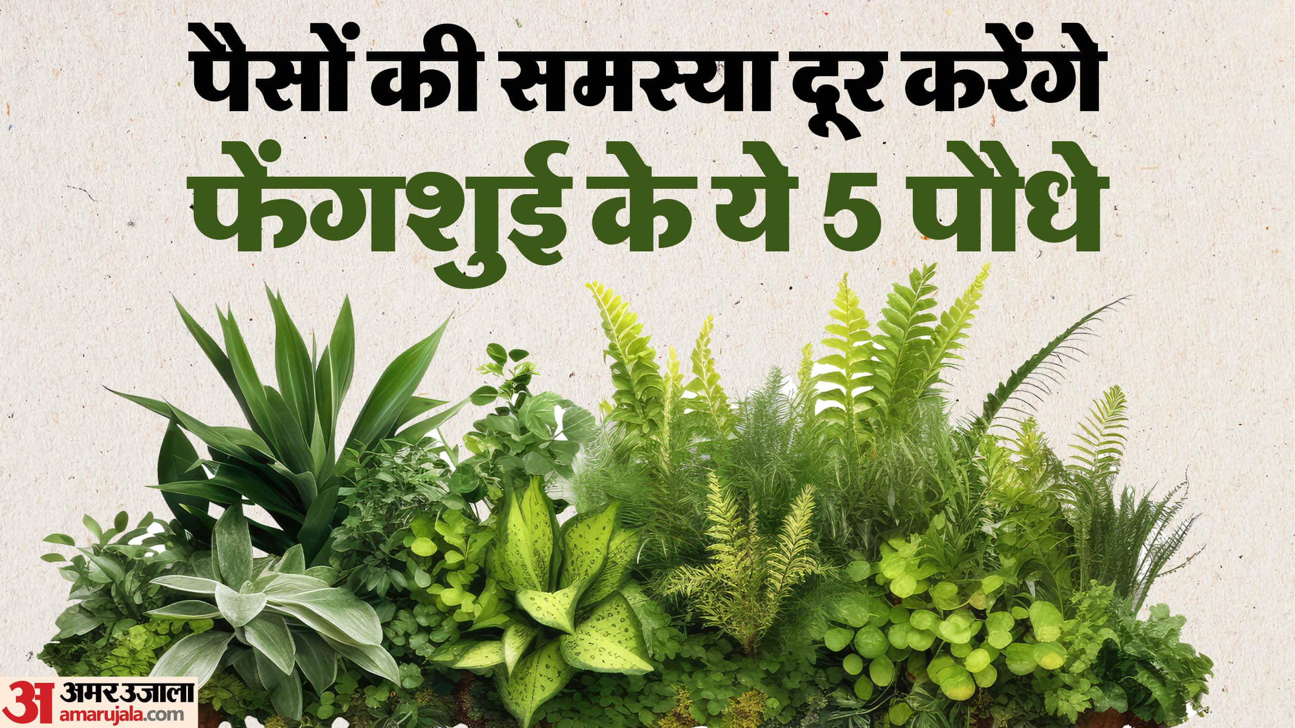 फेंगशुई पौधे