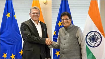 'India-EU free trade agreement expected to be completed soon', Goyal said - working with full dedication