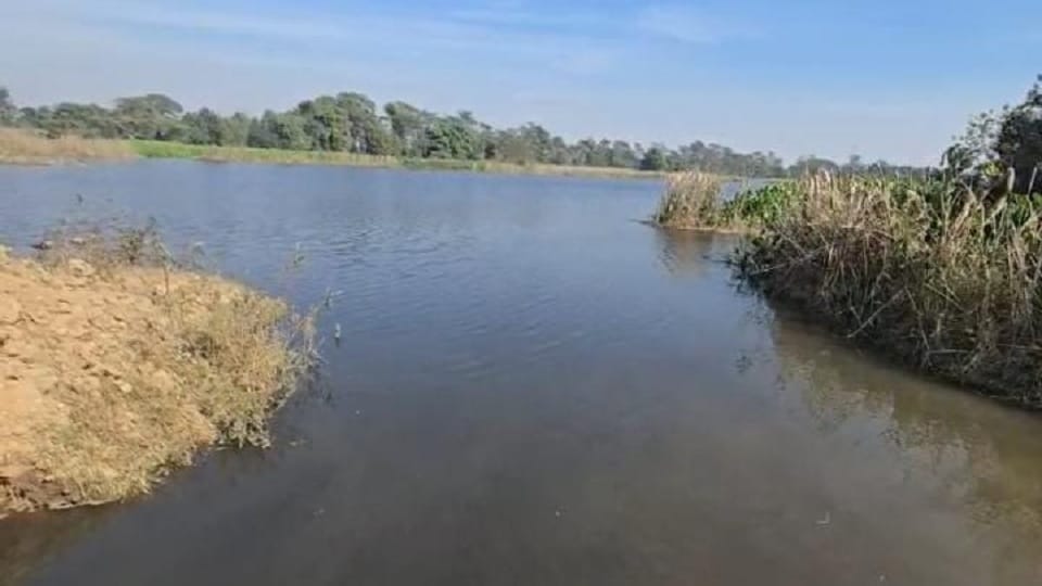 केमिकलयुक्त गंदा पानी नदी में छोड़ा जा रहा