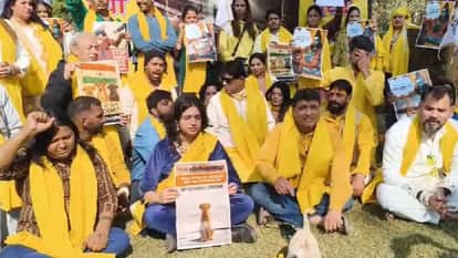 Animal lovers journey from Delhi to reach Vrindavan