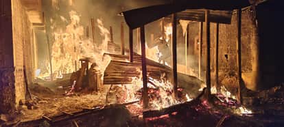 Bihar News: Several houses and cattle burned to ashes in a massive fire in Kishanganj.