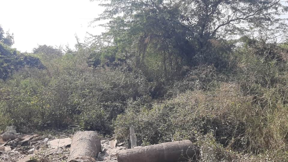 फरीदाबाद इंही झाड़ियों में मिला बच्ची का शव