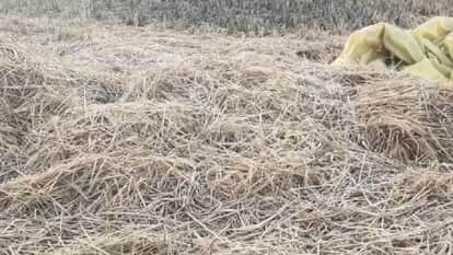 In Gaurela-Pendra-Marwahi, the temperature dropped to 6 degrees Celsius on Wednesday morning