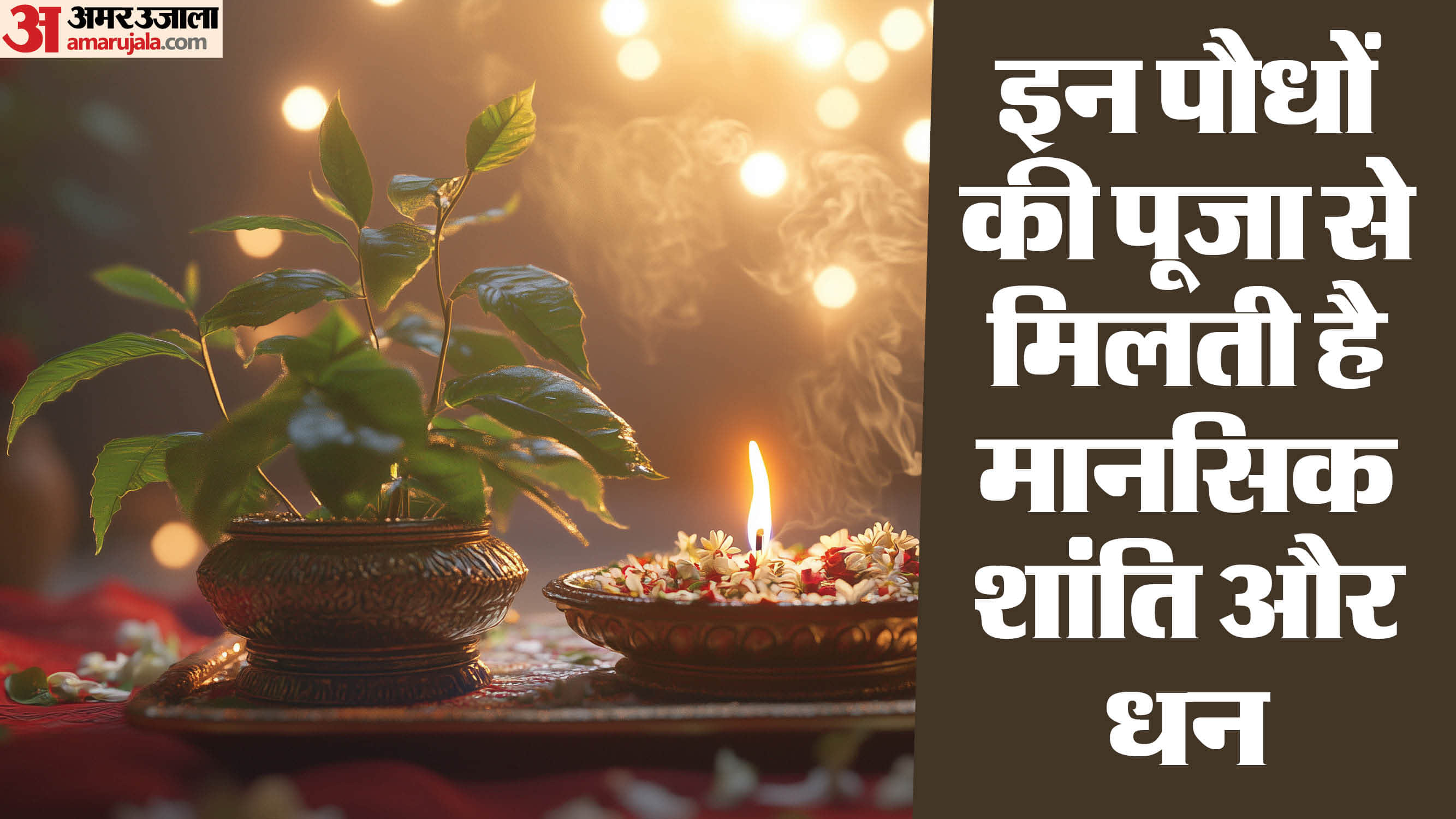 इन पौधों की पूजा से मिलती है मानसिक शांति और धन