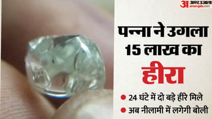 After seven months of hard work, Rajendra found a precious 3.39 carat diamond from the Panna mine.
