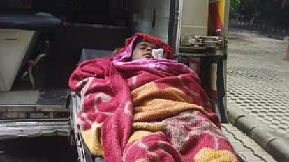 Stray dogs mauled an eight year old boy in Jangpur village Ludhiana